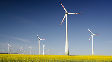 Wind turbines on a greenfield