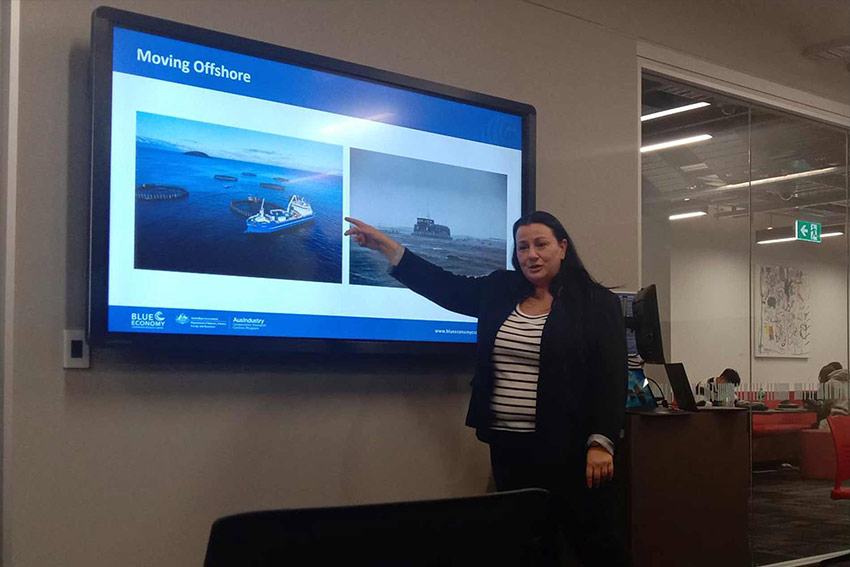 Woman pointing at monitor